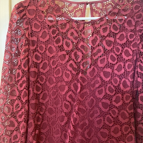 Talula Size 8 fitted Wine coloured dress - Picture 5 of 7